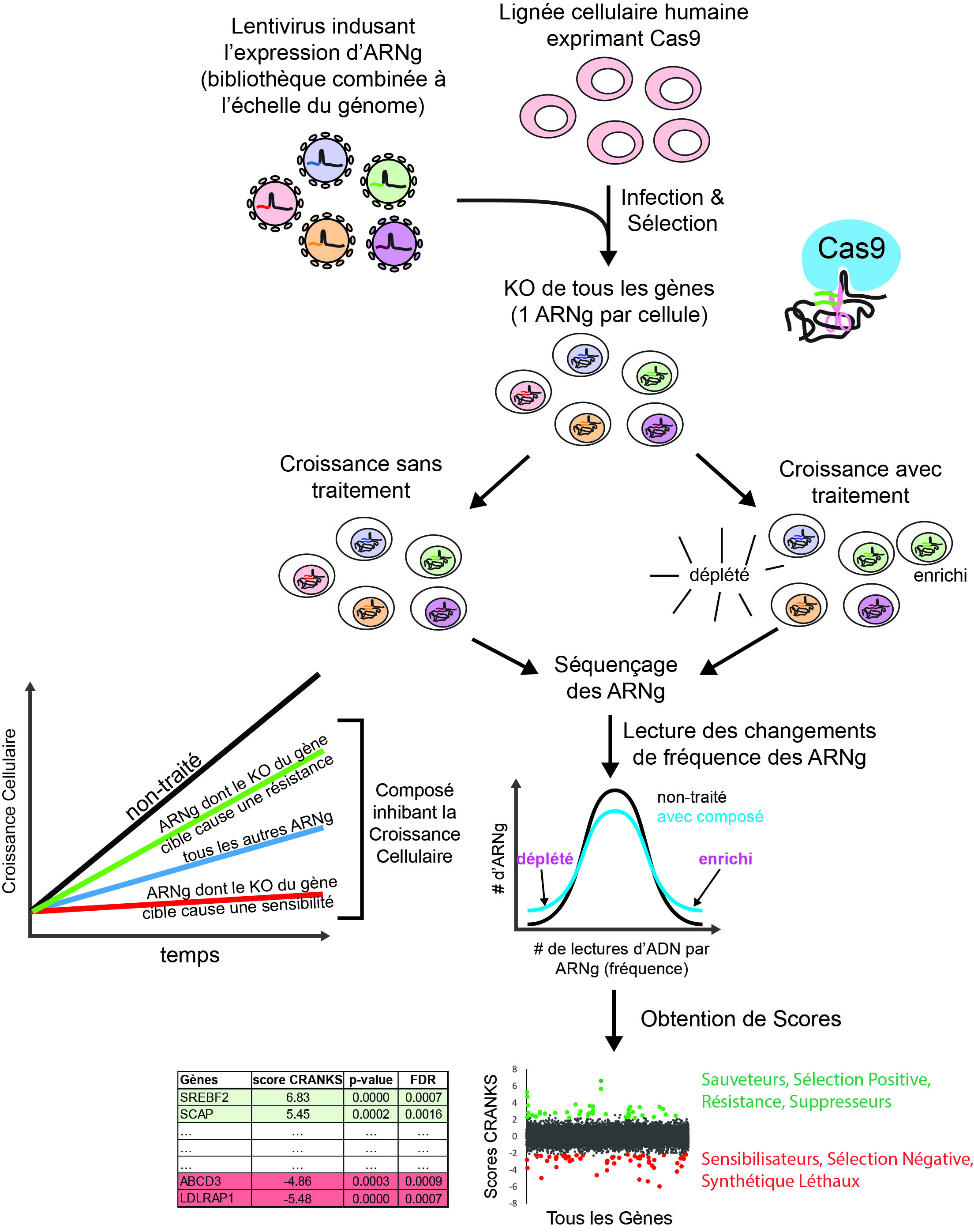 Chemogenomics Pipeline