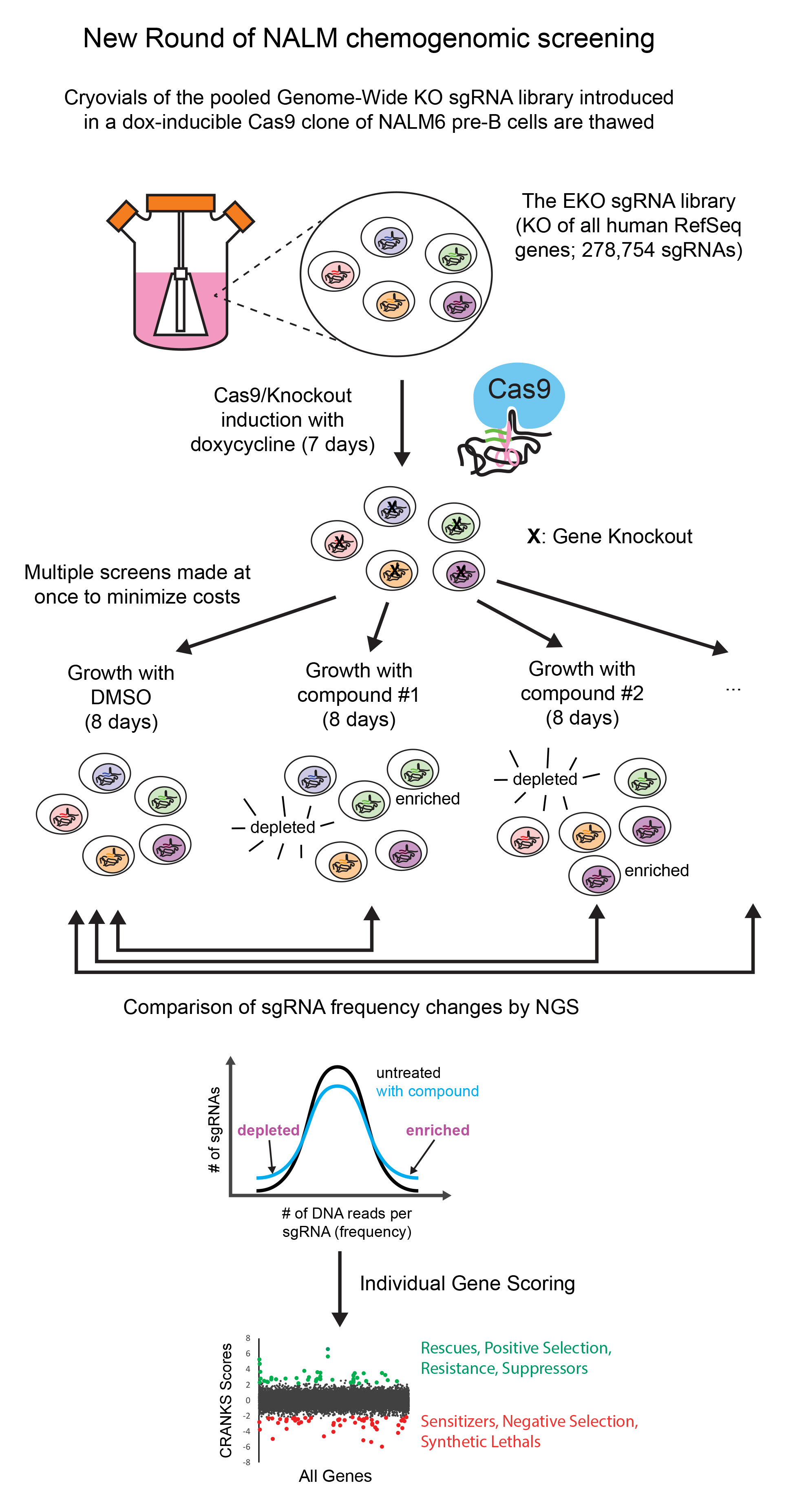 chemogenomix1 img